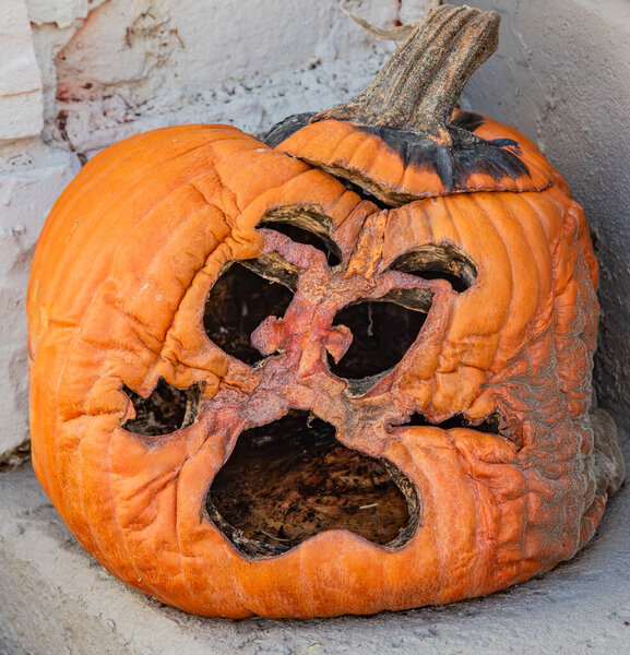 Scary Halloween Pumpkin on a December Day, Sharpsburg Maryland USA