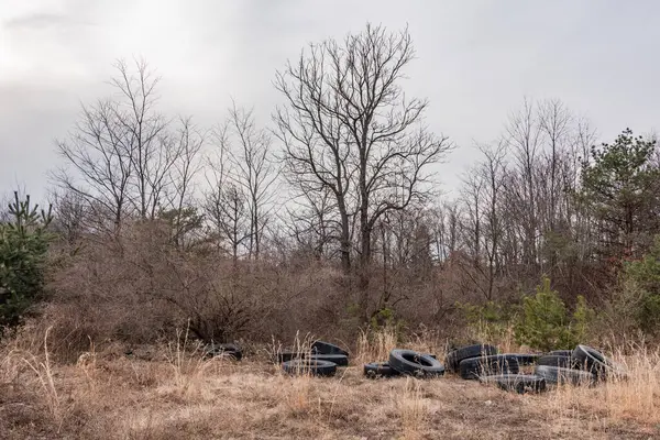 Lastik Mezarlığı, Centralia Pennsylvania ABD