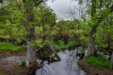 Plum Run 'daki Kırık Çit, Gettysburg Pennsylvania ABD
