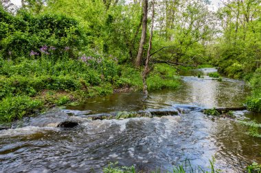 Willoughby 'ler Bahar Yağmurlarından Sonra Koşar, Gettysburg PA USA