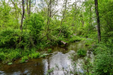 Yağmurlu bir bahar sabahı Willoughby 's Run boyunca, PA USA