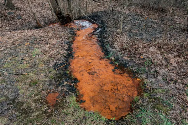 stock image Iron Hydroxide in the Water, Big Mine Run Geyser, Ashland Pennsylvania USA