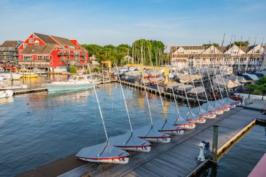 11 yelkenli bir sırada, Doğu Limanı Maryland ABD