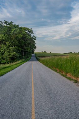 Nafe Sawmill yolunda bir yaz akşamı, Glen Rock PA ABD