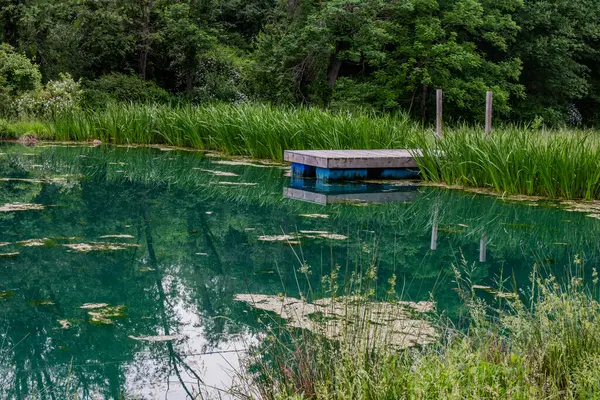 Stock image Reflections in the Swimming Hole, York County Pennsylvania USA