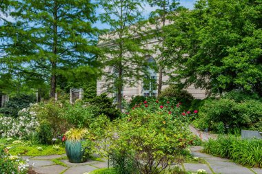 Summer Blooms, ABD Botanik Bahçesi, Washington DC ABD