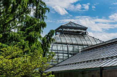 Sera, ABD Botanik Bahçesi, Washington DC ABD