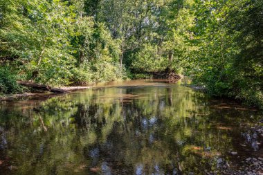 Yalnızlık Marsh Creek boyunca, Pennsylvania ABD