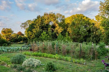 Pennsylvania 'da, York City' de güzel bir bahçe.