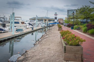 Baltimore, Canton 'daki Lighthouse Point' e yürüyorum.