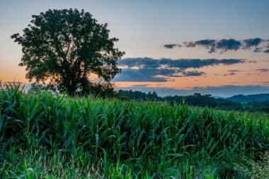 Summer Sunset on the Farm, York County PA USA clipart