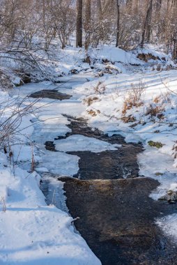 Frozen Codorus Creek in Nixon Park on a January Afternoon, Pennsylvania USA clipart