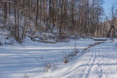 Walking Past the Frozen Pond at Dusk, Nixon Park, York County Pennsylvania clipart