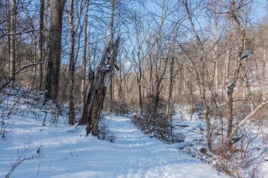 Walking in Nixon Park on a Cold Winter Afternoon, York County, Pennsylvania clipart