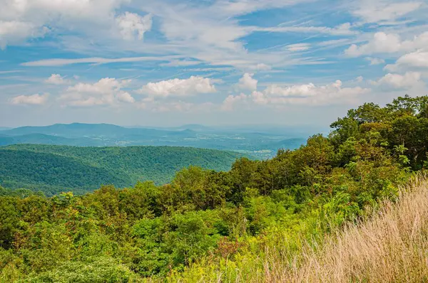 Virginia Dağları 'nda Mükemmel bir Ağustos Öğleden Sonra