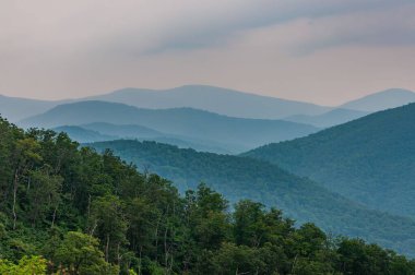 Appalachians, Virginia 'da Yaz Yağmuru