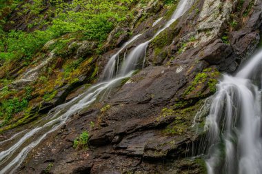 Virginia, Shenandoah Ulusal Parkı 'ndaki Şelalede Yağmurlu Bir Yaz Günü