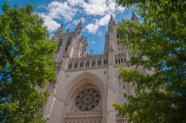 Ulusal Katedral Güzel Bir Yaz Öğleden Sonra, Washington DC
