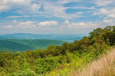 Virginia Dağları 'nda Mükemmel bir Ağustos Öğleden Sonra