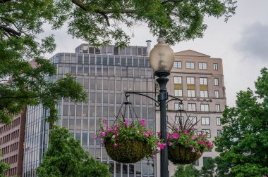 Washington 'da Bulutlu Bahar Günü