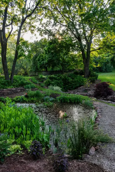 Golden Hour in the Gardens, York County Pennsylvania