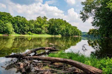 Bir Yaz Günü Potomac Nehri 'nde Düşen Ağaçlar
