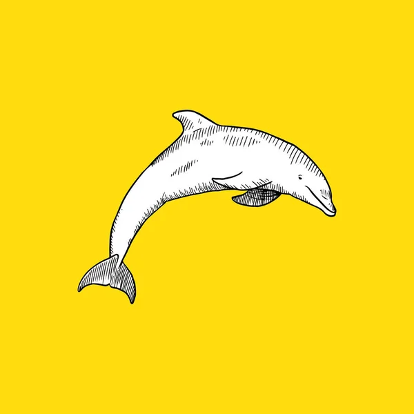 Рука Намальована Дельфіном Векторна Ілюстрація Векторні Ілюстрації — стоковий вектор