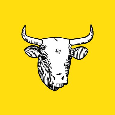 Önden İnek Kafası. Çizim ve çizim stili. Vektör. Kurban Bayramı 'nda. İslam Vektörü illüstrasyonu 