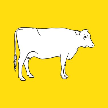 Vintage Cow Side. Sketh and Drawing Style - Vector. Eid al-Adha. Islam Vector illustration 