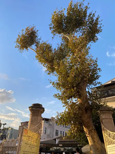 İstanbul 'daki Ortakoy Camii nam-ı diğer Büyük Sultan Abdulmejid Camii. Yüksek kalite fotoğraf