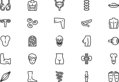 Human body icons collection is a vector illustration with editable stroke. clipart