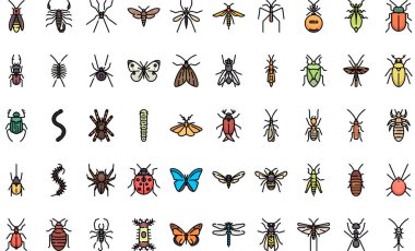 Böcekler Yüksek Kaliteli Vektör Simgeleri Koleksiyonu Düzenlenebilir Vuruşlu simgeleri. Profesyonel ve Yaratıcı Projeler için ideal.