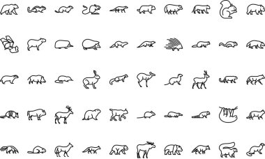 Forest animals icons High-Quality Vector Icons Collection with Editable Stroke. Ideal for Professional and Creative Projects. clipart