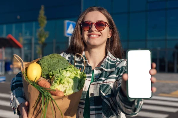 Compras Alimentos Saludables Ecoenvasado Concepto Estilo Vida — Foto de Stock