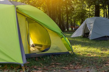 Gün ışığında ormanda kamp çadırı ayrıntıları