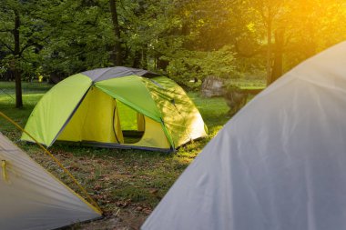 Gün ışığında ormanda kamp çadırı ayrıntıları