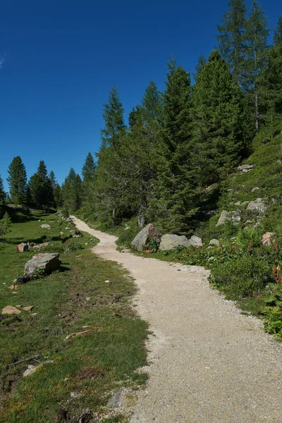 Hiking Trail Mountains — Stock Photo, Image