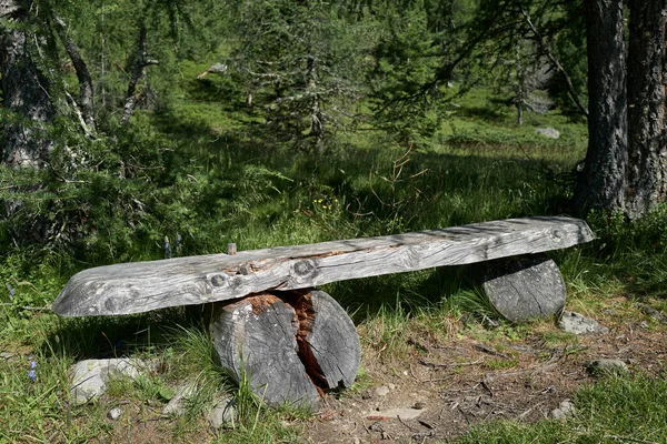 Old Massive Bench Edge Forest — Stock Photo, Image