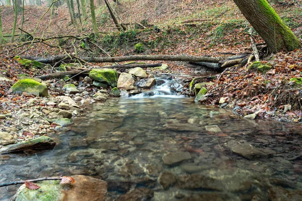 Небольшой Ручей Течет Над Большими Камнями Окружен Осенним Лесом Чудесном — стоковое фото