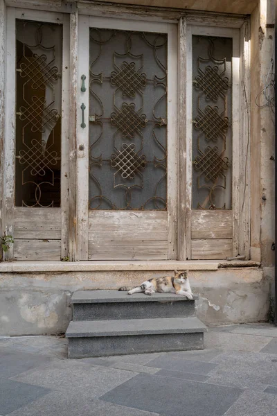 Eine Streunende Katze Liegt Auf Einer Kleinen Treppe Die Zum — Stockfoto