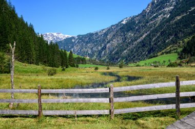 Dağlardaki küçük bir akarsu, çayırdan geçer ve geleneksel tahta levhalardan yapılmış çitlerden korunur..