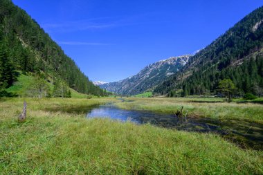 A lush green wet meadow in a mountain valley with a shimmering blue stream. clipart