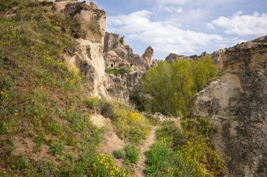 Türkiye 'nin Kapadokya kenti eşsiz kaya oluşumları ve mağara evleri ile tanınır. Yaban çiçekleri engebeli araziye renk katarak turist ve araştırmacıları cezbediyor..