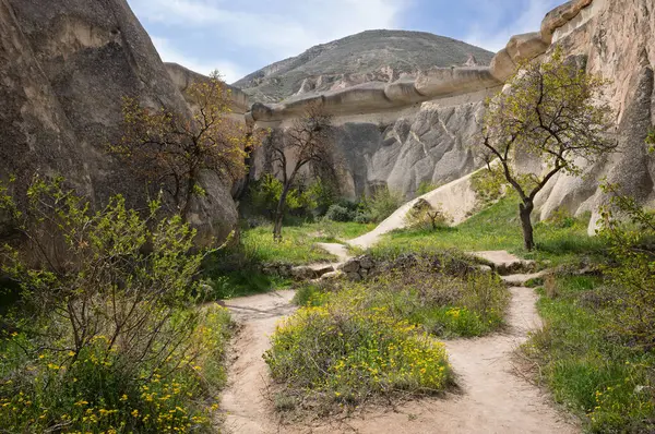 Kapadokya 'nın eşsiz kaya oluşumları ve yeşillikleri arasında bir yürüyüş yolu var. Yumuşak bir manzara ve kır çiçekleri resim gibi bir manzara yaratır..