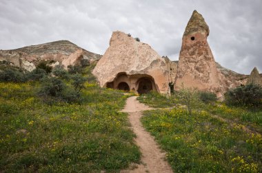 Kapadokya 'nın eski mağara evleri toprak bir yol boyunca görülüyor. Kır çiçekleri kurak araziye renk katarak bölgenin eşsiz jeolojik oluşumlarını ve zengin tarihini vurguluyor..