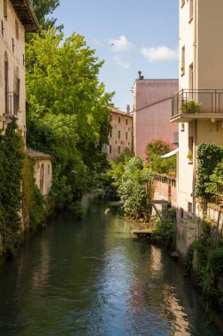 Avrupa 'da tarihi binalar arasında akan bir kanal var. Yeşillik bitkiler suyun üzerinde uçan kuşlarla su yolu boyunca uzanır..