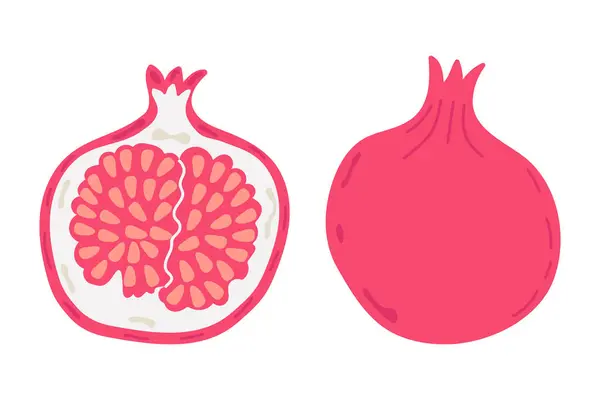 Nar çizimlerinin soyut vektör çizimleri. Basit bir nar tanesi. İç mekan için tropikal meyve koleksiyonu tasarımı, kartlar, posterler, afişler, el ilanları, sosyal medya duvar kağıtları