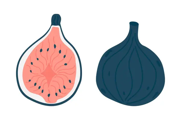 İncirlerin soyut vektör çizimleri. Basit incirler. İç mekan için tropikal meyve koleksiyonu tasarımı, kartlar, posterler, afişler, el ilanları, sosyal medya duvar kağıtları