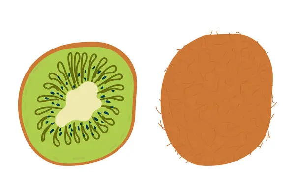 Kivi 'nin soyut vektör çizimleri. Sade kivi. İç mekan için tropik meyve koleksiyonu tasarımı, kartlar, poster, afiş, broşür, sosyal medya duvar kağıdı