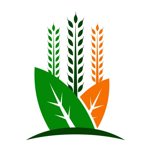 Logo Pertanian Dan Pertanian Vektor Icon Illustration Brand Identity - Stok Vektor